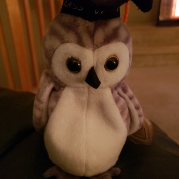 wiser beanie baby 1999 value